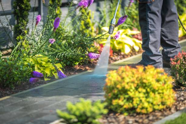 Best Gutter Cleaning  in Saylorsburg, PA