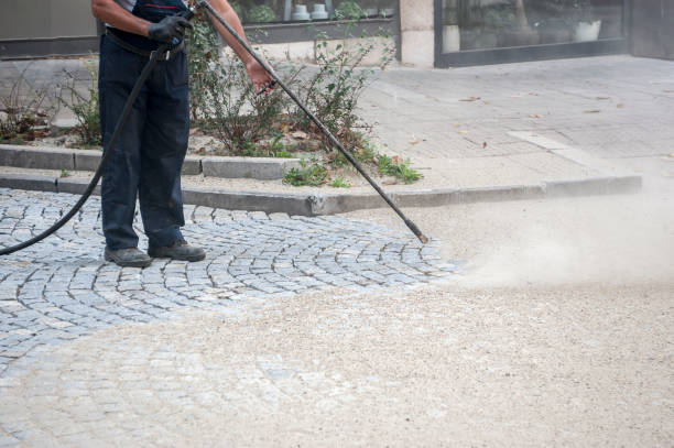 Best Building Exterior Washing  in Saylorsburg, PA